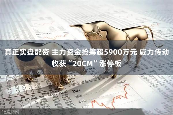 真正实盘配资 主力资金抢筹超5900万元 威力传动收获“20CM”涨停板